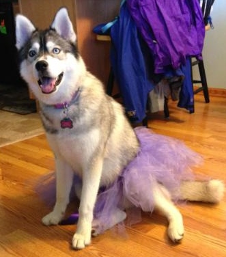 Nika Tutu