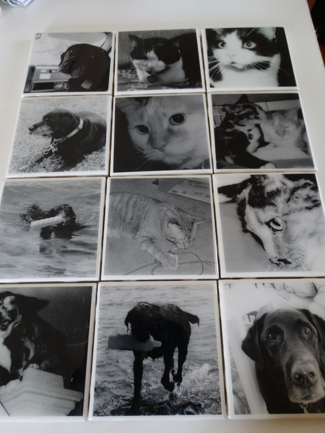Pet Coasters